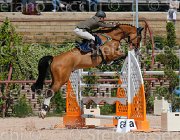 COATA S CANNAVARO CampITA2013- S5 0121 : CANNAVARO 17, COATA SIMNONE, Campionati Italiani 2013, Cattolica, Horse Riviera Resort, foto di Stefano Secchi ©